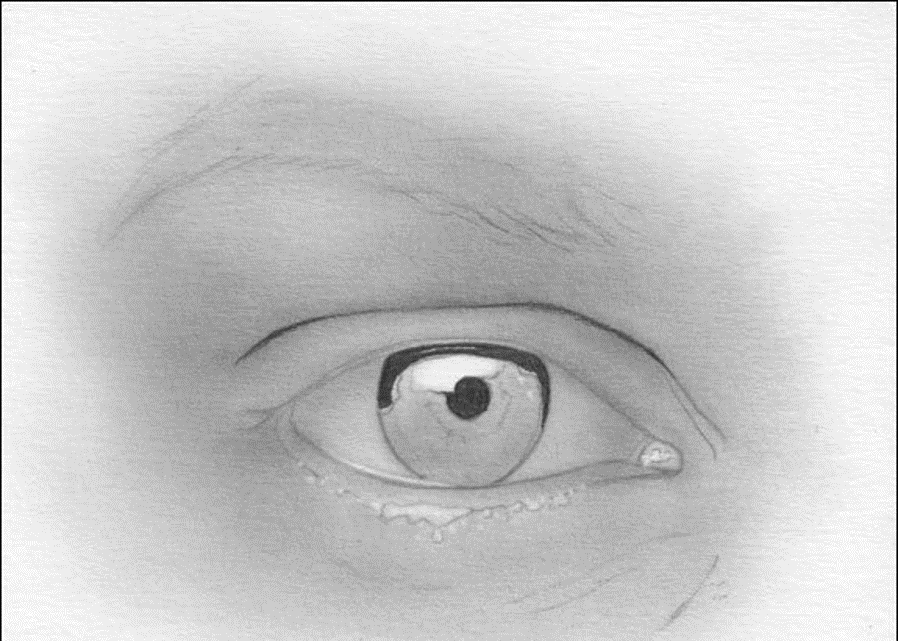 Kreslenie oka  Kreslenie ľudského oka. Kreslenie oka Obrazok6