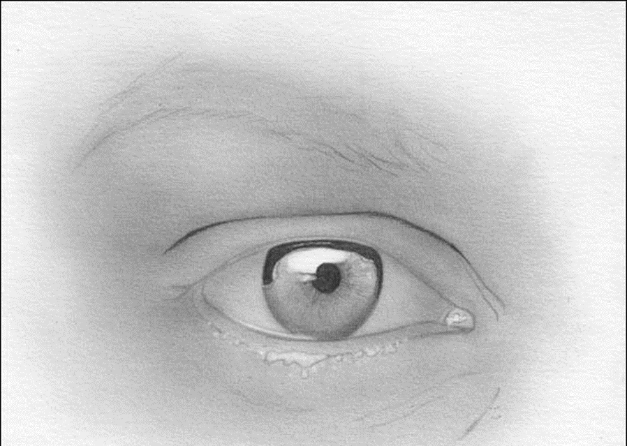 Kreslenie oka  Kreslenie ľudského oka. Kreslenie oka Obrazok7