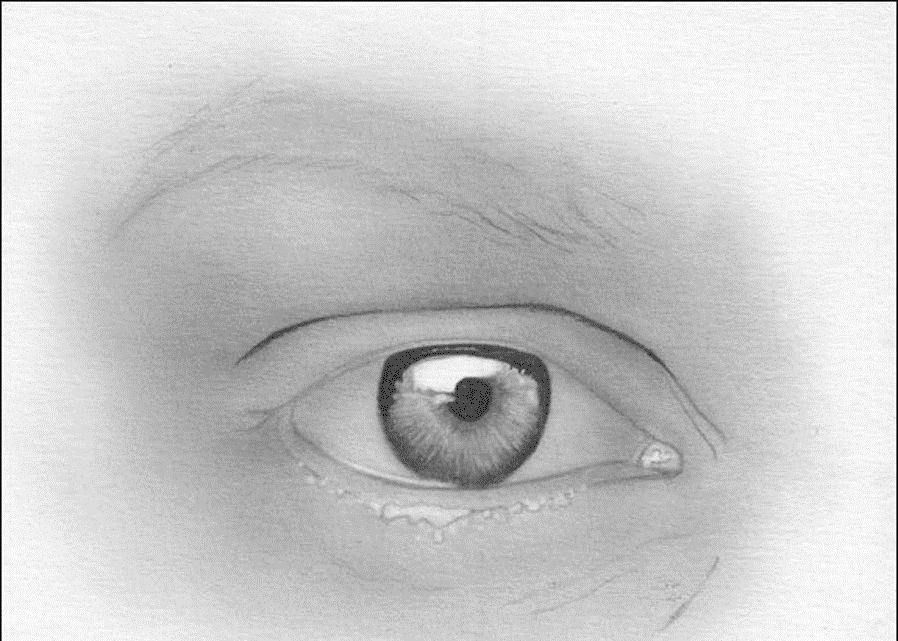 Kreslenie oka  Kreslenie ľudského oka. Kreslenie oka Obrazok8